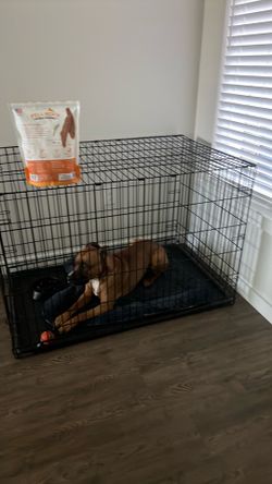 Dog kennel
