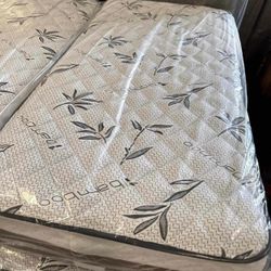 New Twin Mattress