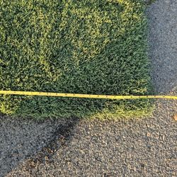 Used Artificial Grass 