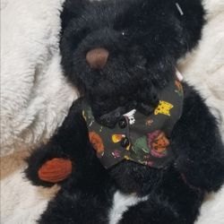Mystic Halloween Plush Bear 