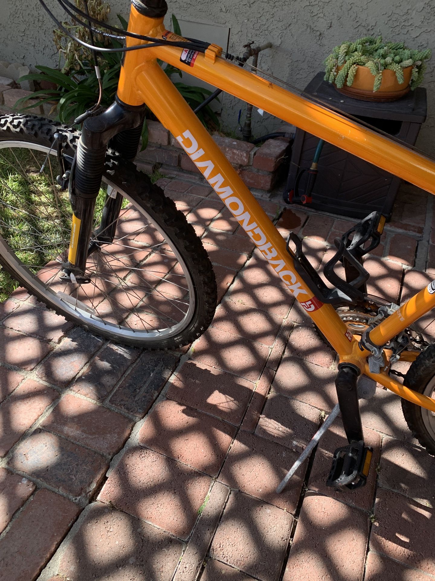 Diamond Back Mountain Bike