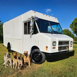 Box FedEx Ups Cargo Food Catering Lonchera