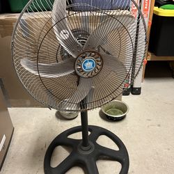 Pedestal fan