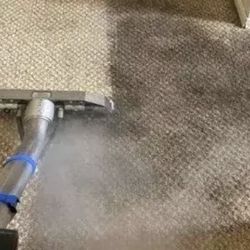 Carpet Shampoo