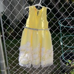 Girls Beautiful party Dress