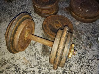 Dumbbell Weights Lifting Exercise