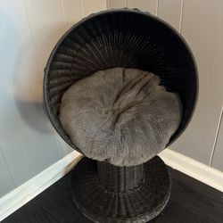 Cat Bed | Scratch Post