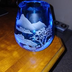 Chinese Peking Ecthed Vase