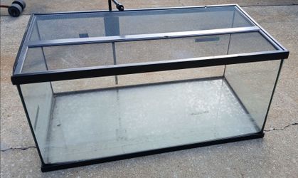40 gallon breeder tank