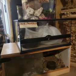Reptile &Fish Tanks With Accessories 