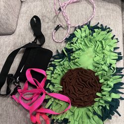 Train Your Dog Acces