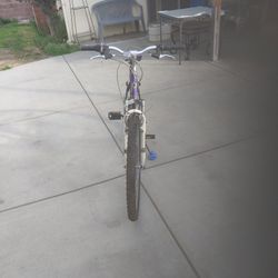 Women Mountain Bike