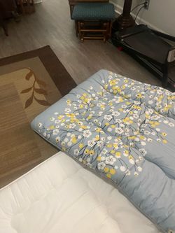 Two twin futon mattresses