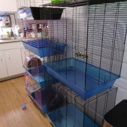 Rabbit And Bird Cages $45 And Up