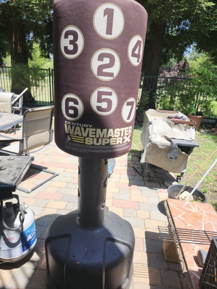 Standing Punching Bag