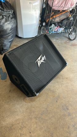 Peavy 12” Monitor $125