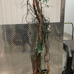 Faux Tree For $45 Includes Delivery 