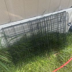 Large Dog Crazy You Put Together