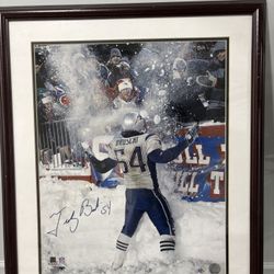 Signed Autographed Tedy Bruschi photo