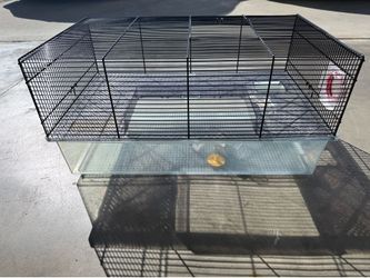 Hamster Cage