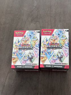 Prismatic bundle