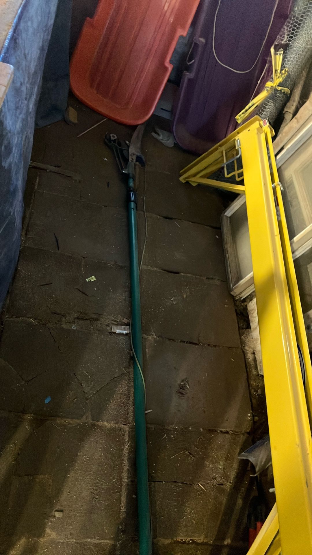 12’polesaw