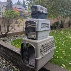 Dog Cat Animal Kennel House