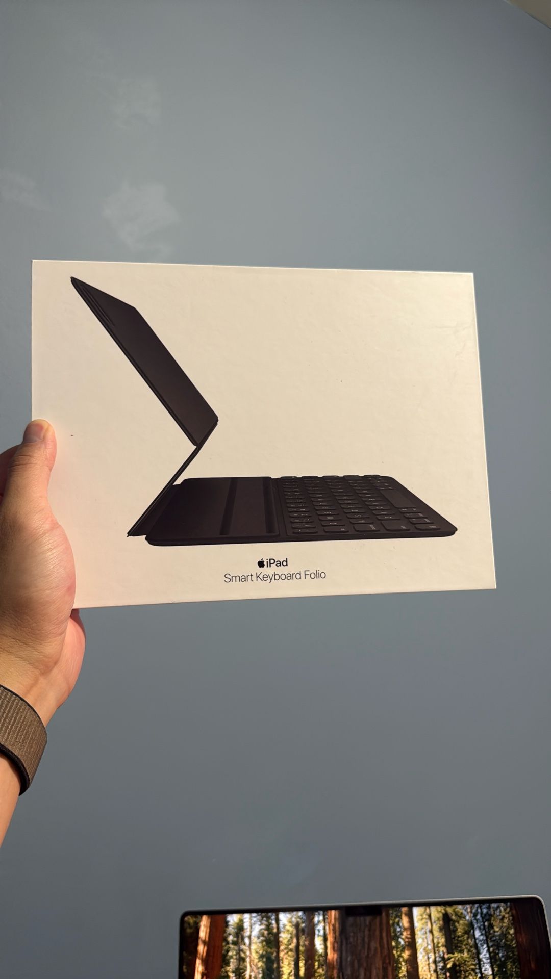 Official Apple Smart Folio 11" for iPad (not for M4 iPad)