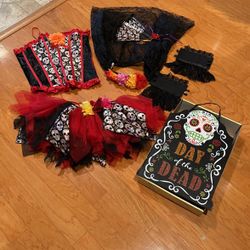 Gasparilla Skull /pirate Costume - Day Of The Dead