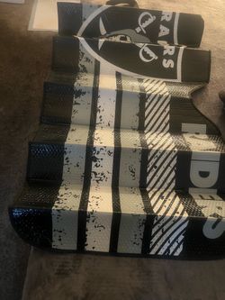 Raiders Windshield Sunshade new