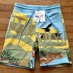Staple Pigeon EMBRACE THE UNKNOWN  Shorts With pockets Size XS WITHERSPOON