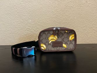 NEW COACH NO TAGS Belt Bag In Signature… $175