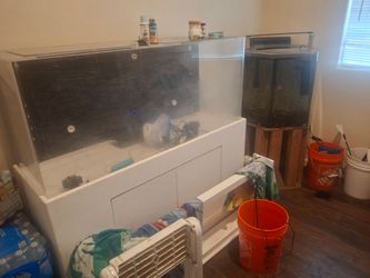 Aquarium for sale