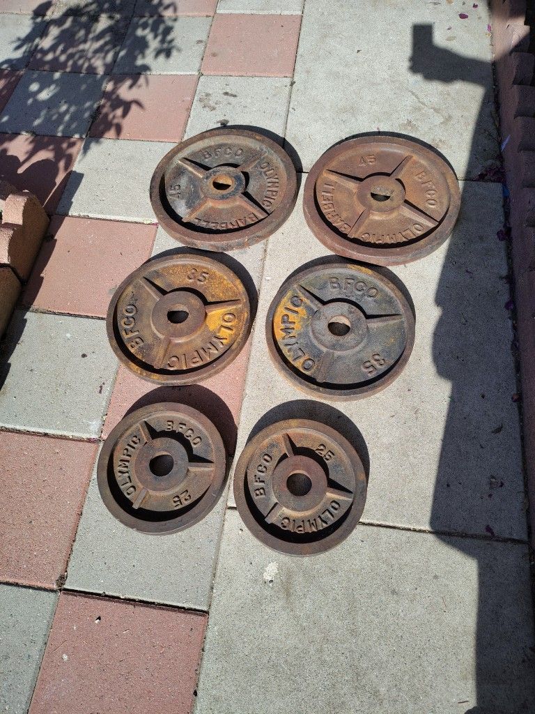Delivery Available - BFCO Olympic Weights. 210 Pounds Total In Good Shape Just Need Some Spray Paint
