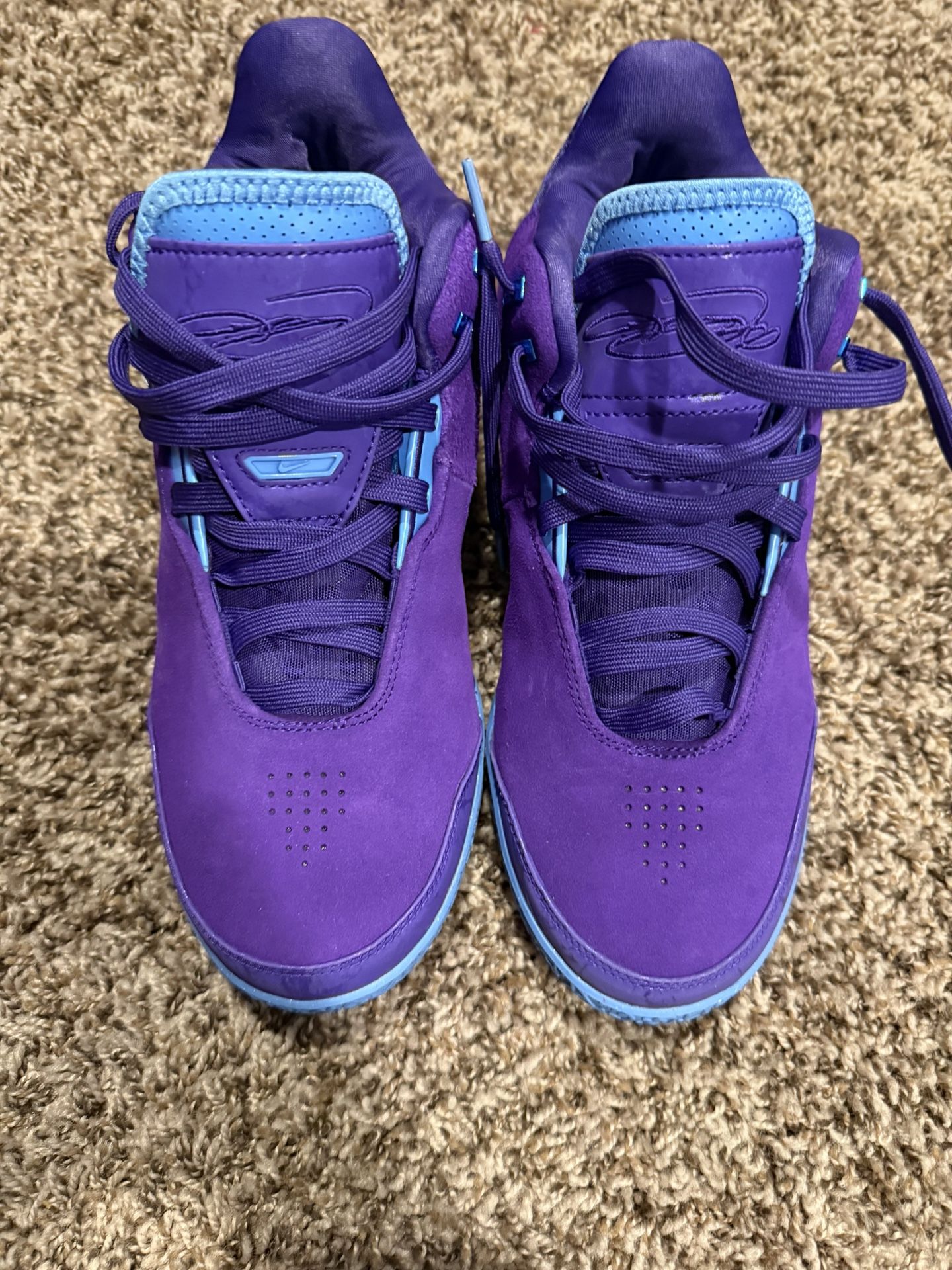 Purple/Blue Nikes