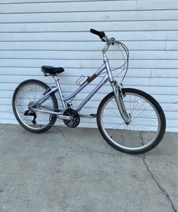 Giant Hybrid Bike