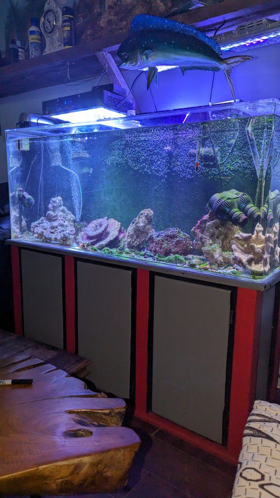 Acrylic Fish Tank And Stand