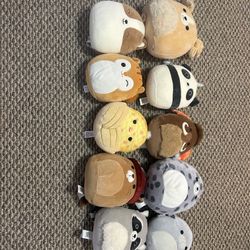 Squishmallow Lot 
