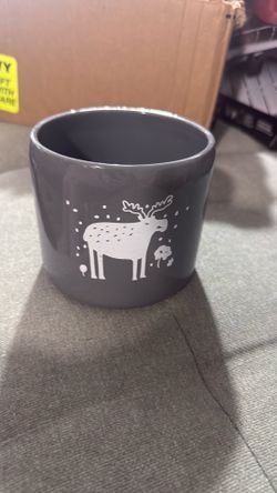 Assortment of flower pots
