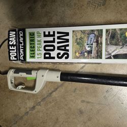 Pole saw electric