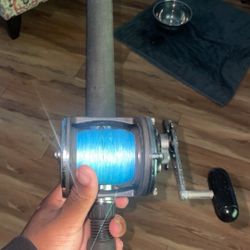 fishing rod 