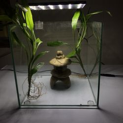 3 Gal Aquarium Tank