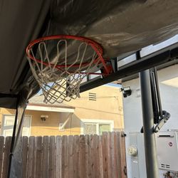 Basketball Court/ Hoop