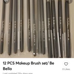 Professional brushes 