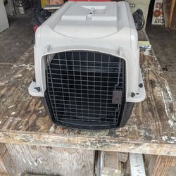Dog Kennel 