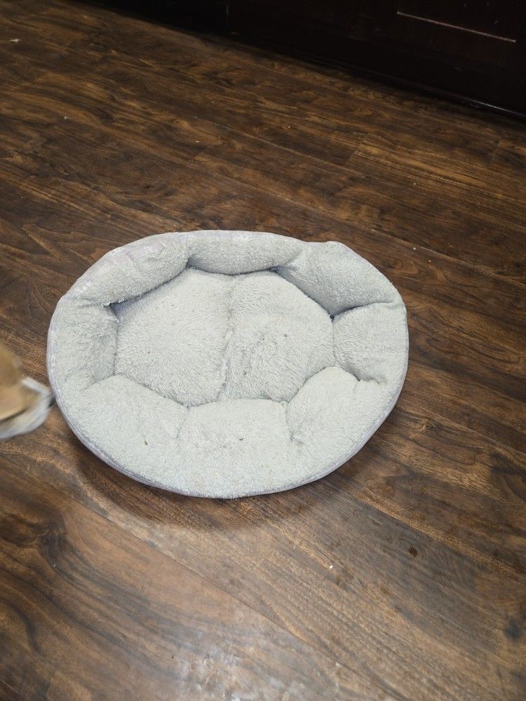 Small Dog Bed Dog Not Included 