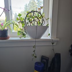 Ceramic And Wood Trellis Ivy Free 