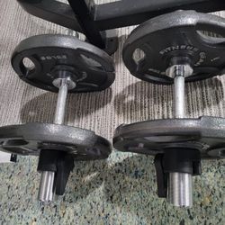 Adjustable Dumbbells