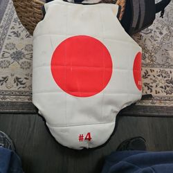 Martial Arts Chest Protecor 