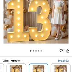 Light Up Numbers 13 